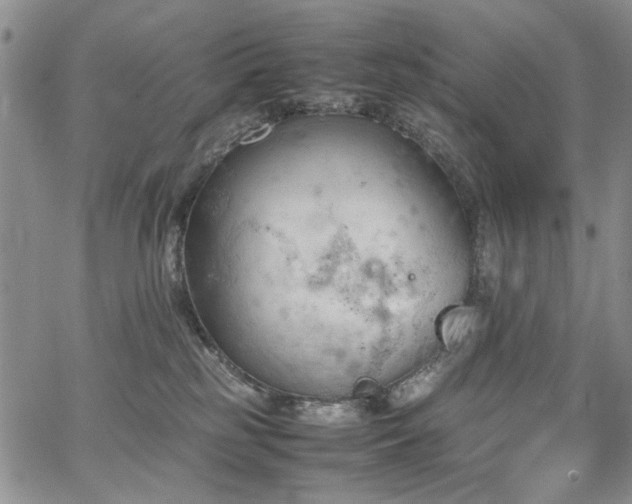 X0000067520185200604071330