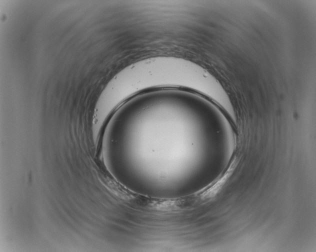 X0000067520186200604071330