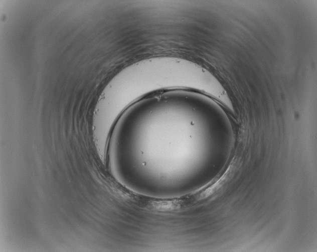 X0000067520187200604071330