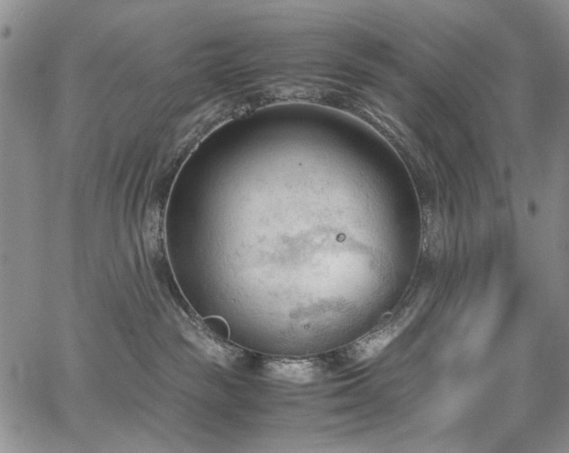 X0000067520189200604071330