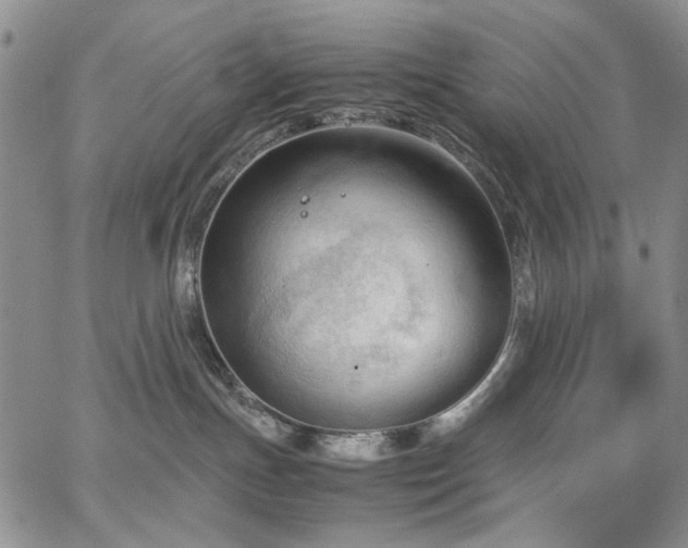 X0000067520191200604071331