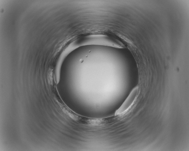 X0000067520192200604071331