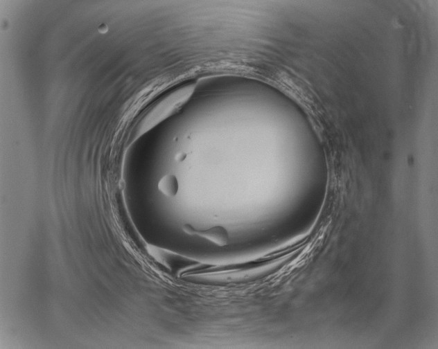 X0000067520193200604071330