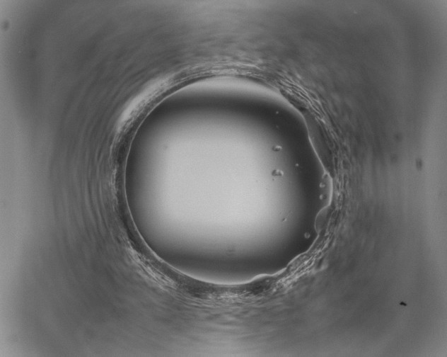 X0000067520197200604071330