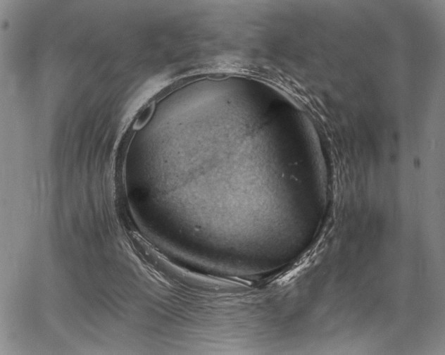 X0000067520200200604071330