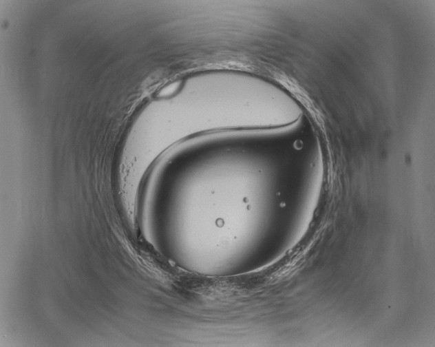 X0000067520201200604071330