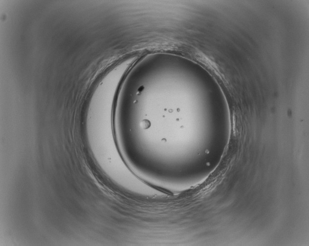 X0000067520205200604071330