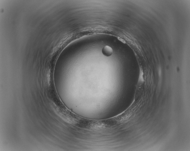 X0000067520206200604071330