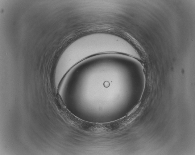 X0000067520209200604071329