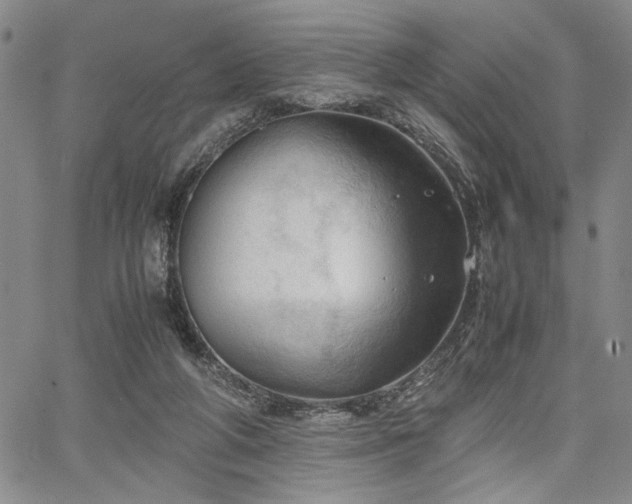 X0000067520210200604071329