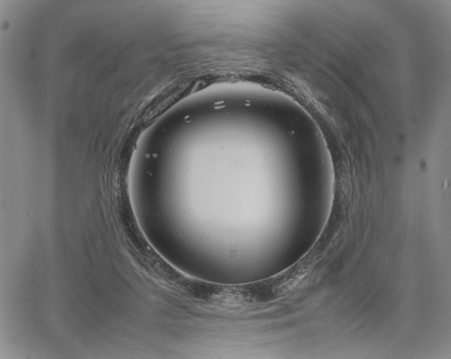 X0000067520211200604071329