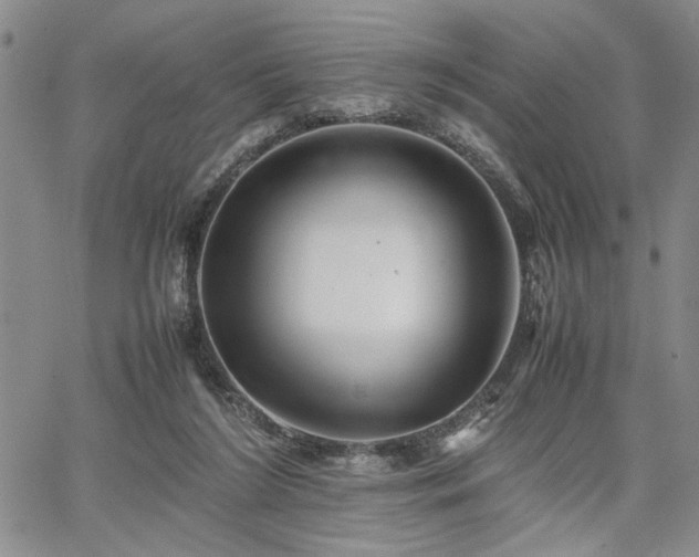 X0000067520212200604071329