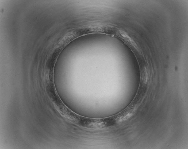 X0000067520213200604071329