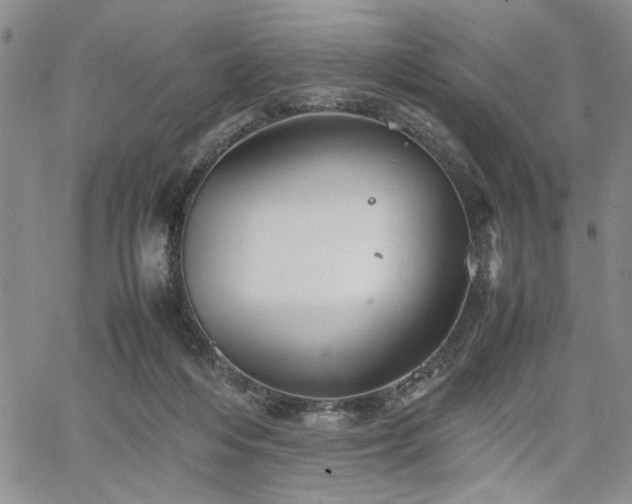 X0000067520216200604071329