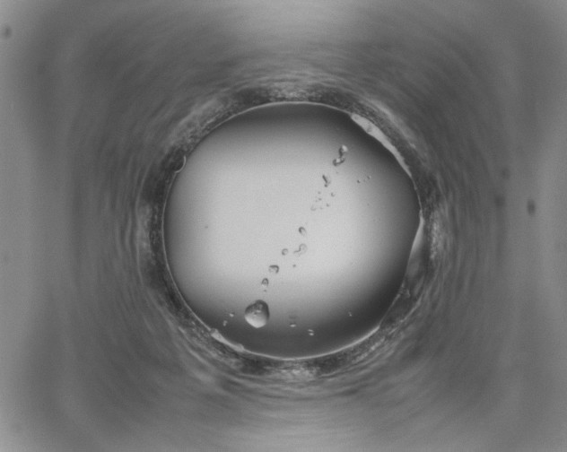 X0000067520217200604071329