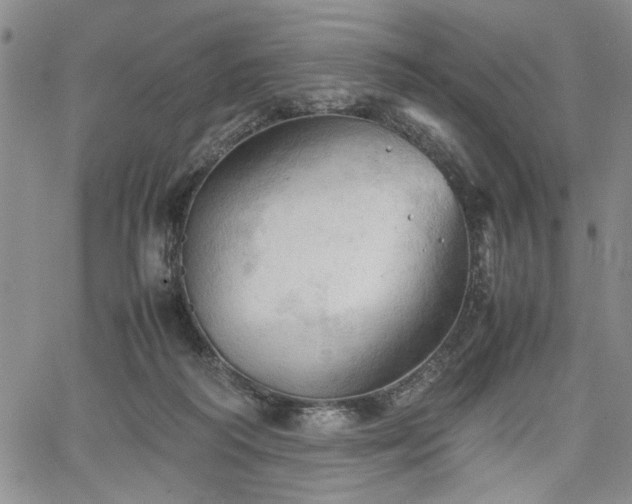 X0000067520218200604071329