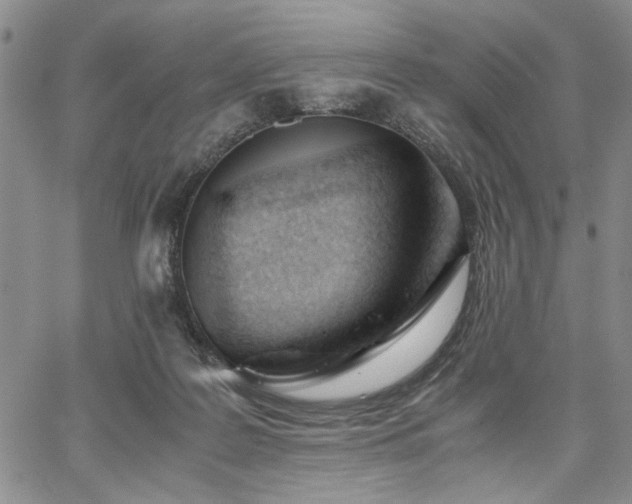 X0000067520219200604071329