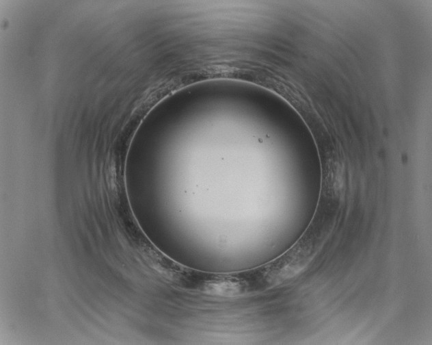 X0000067520220200604071329