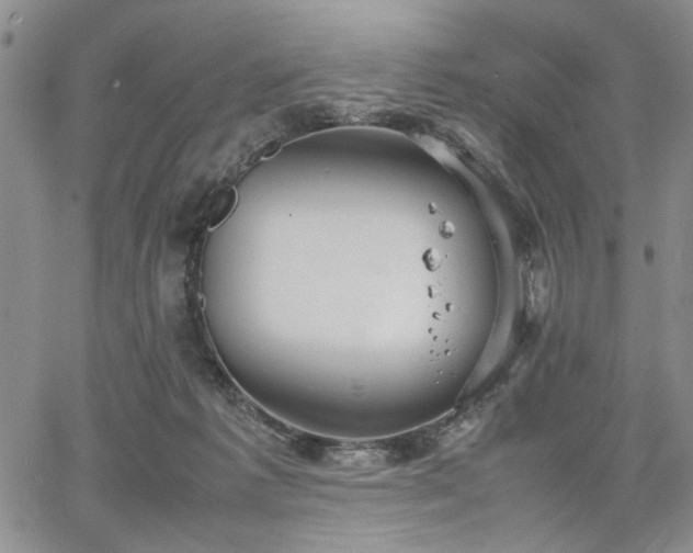 X0000067520221200604071329