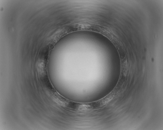 X0000067520222200604071329