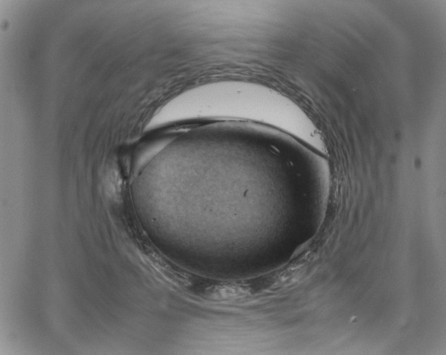 X0000067520223200604071329