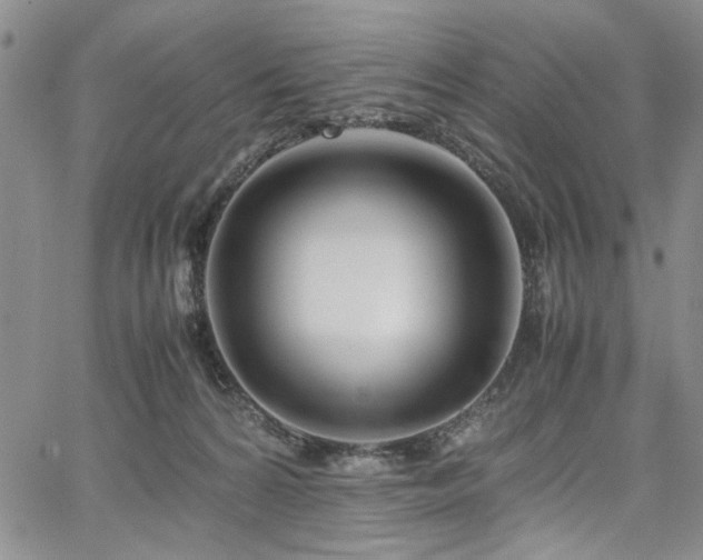 X0000067520224200604071329