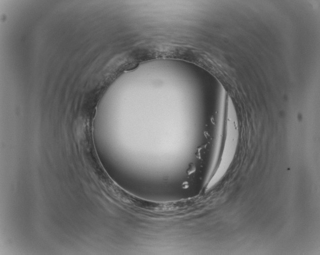 X0000067520225200604071329