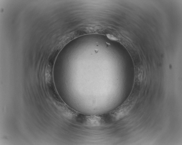 X0000067520226200604071329