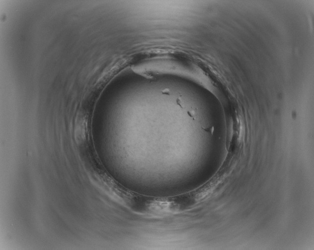 X0000067520227200604071329