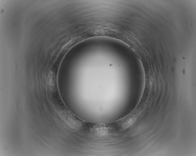 X0000067520228200604071329