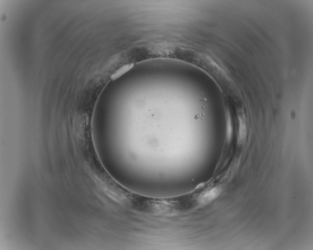 X0000067520229200604071329