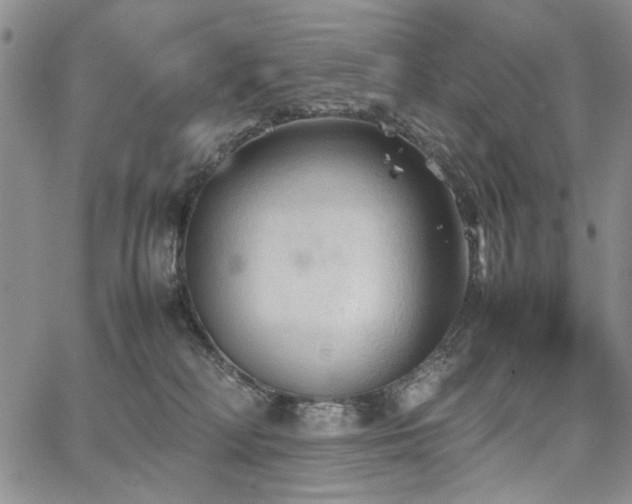 X0000067520230200604071329