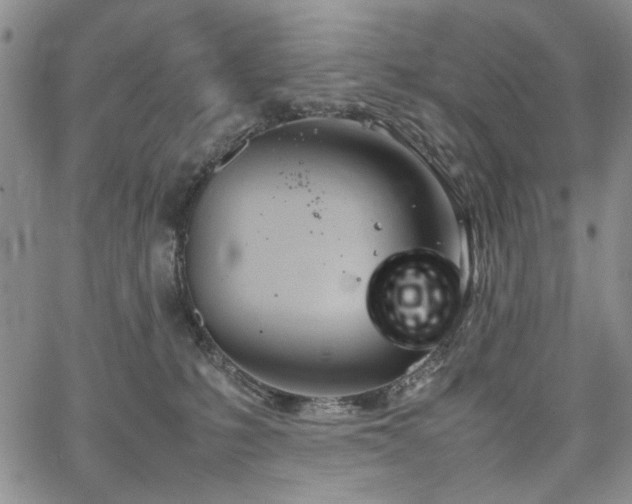 X0000067520231200604071329