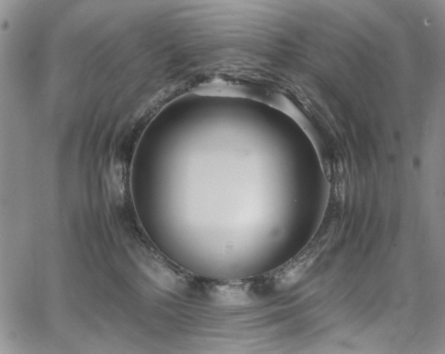 X0000067520232200604071329