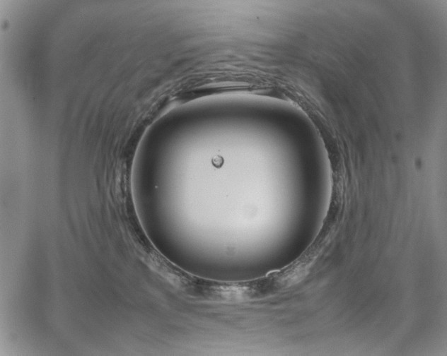 X0000067520233200604071329