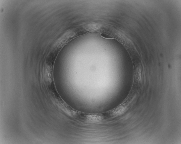 X0000067520234200604071329