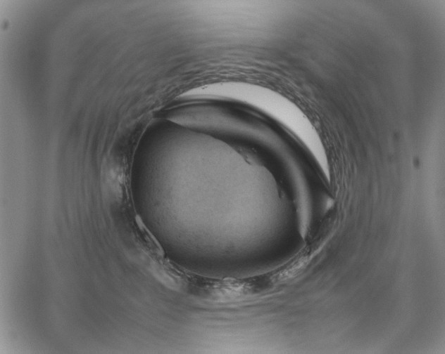 X0000067520235200604071329