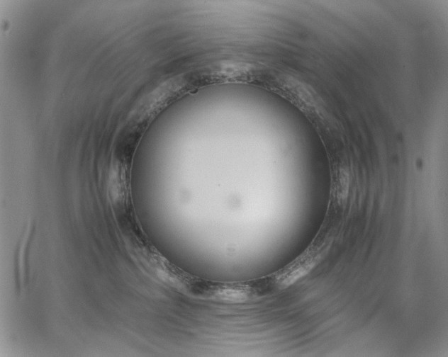 X0000067520236200604071329