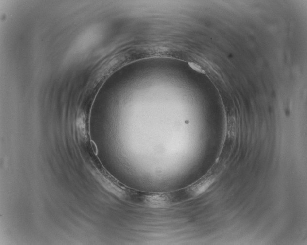 X0000067520238200604071329