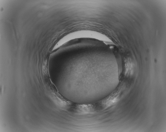 X0000067520239200604071329