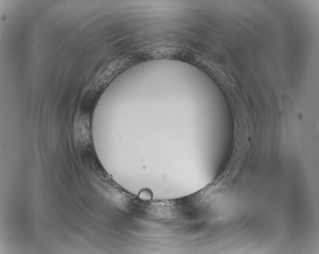 X0000067520240200604071329