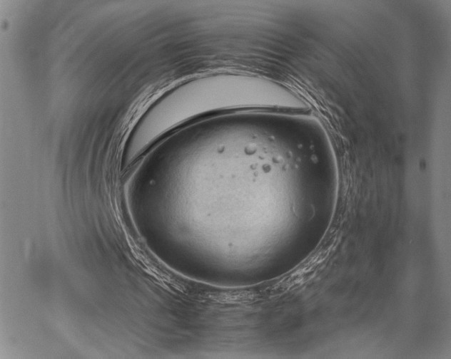 X0000067520241200604071328