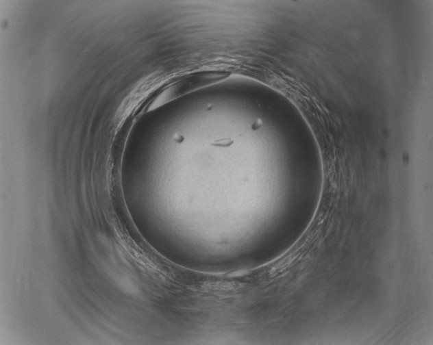 X0000067520242200604071328