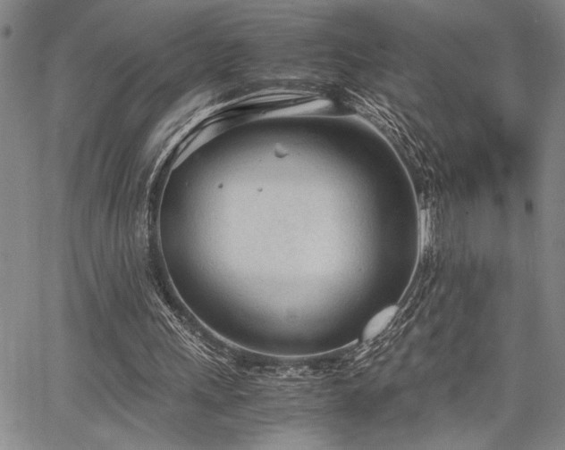 X0000067520243200604071328