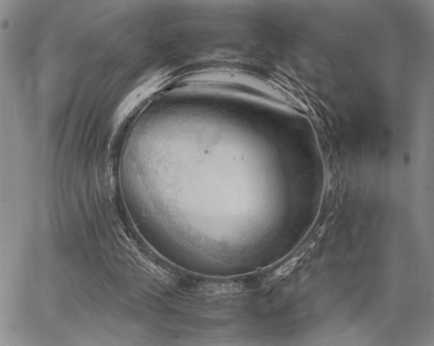 X0000067520245200604071328