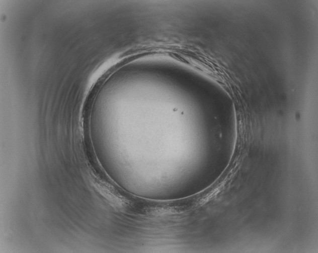 X0000067520246200604071328