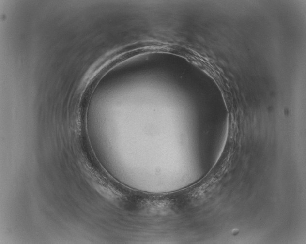 X0000067520247200604071328