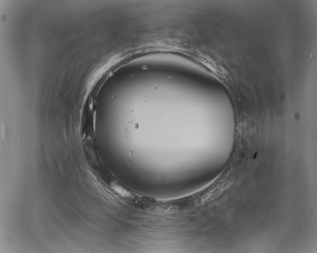 X0000067520248200604071328