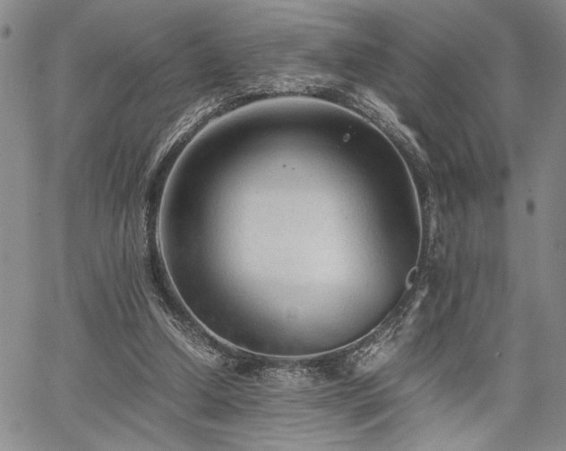 X0000067520250200604071328