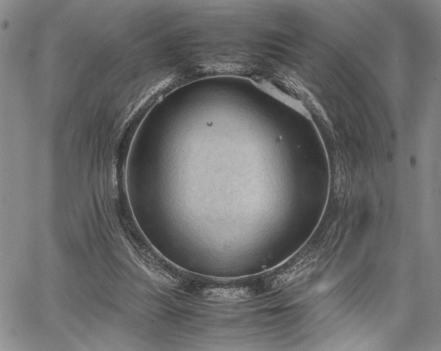 X0000067520251200604071328